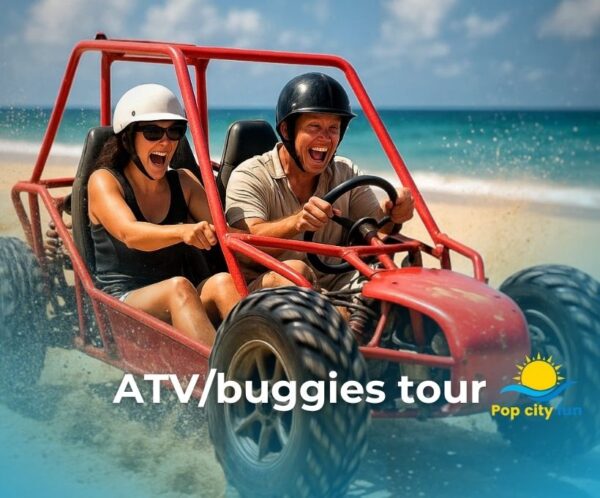 ATV / Buggies
